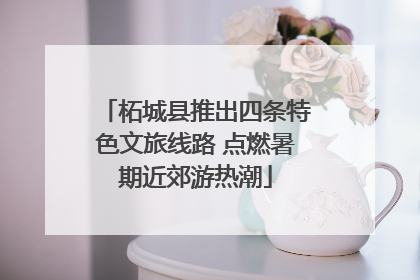 柘城县推出四条特色文旅线路 点燃暑期近郊游热潮
