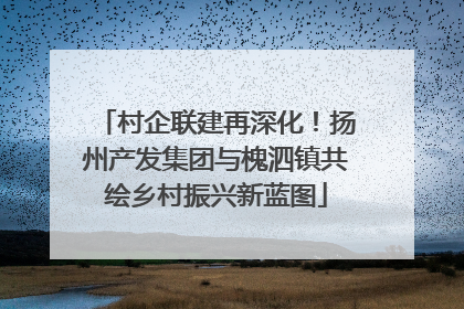 村企联建再深化！扬州产发集团与槐泗镇共绘乡村振兴新蓝图