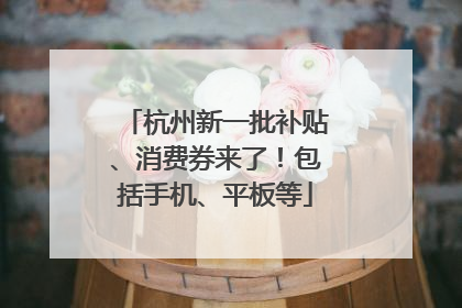 杭州新一批补贴、消费券来了！包括手机、平板等
