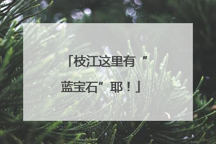 枝江这里有“蓝宝石”耶！