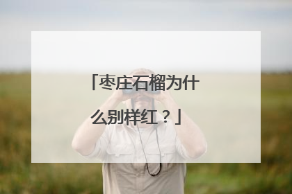 枣庄石榴为什么别样红？