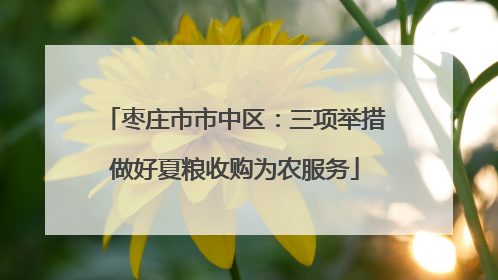 枣庄市市中区：三项举措做好夏粮收购为农服务