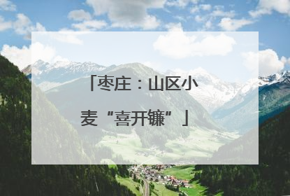 枣庄：山区小麦“喜开镰”