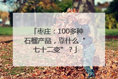 枣庄：100多种石榴产品，靠什么“七十二变”？