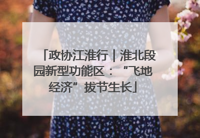 政协江淮行｜淮北段园新型功能区：“飞地经济”拔节生长