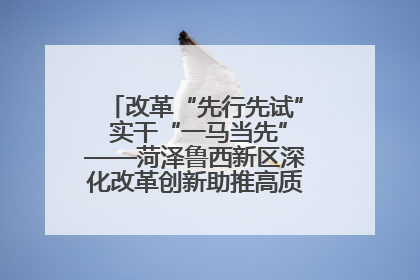 改革“先行先试” 实干“一马当先”——菏泽鲁西新区深化改革创新助推高质量发展纪实