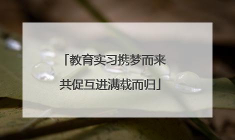 教育实习携梦而来 共促互进满载而归