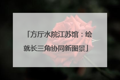 方厅水院江苏馆：绘就长三角协同新图景
