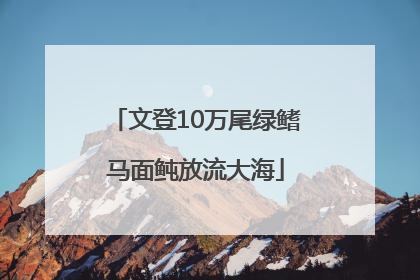 文登10万尾绿鳍马面鲀放流大海