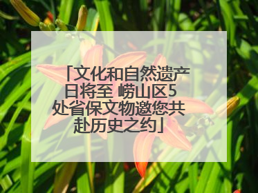 文化和自然遗产日将至 崂山区5处省保文物邀您共赴历史之约