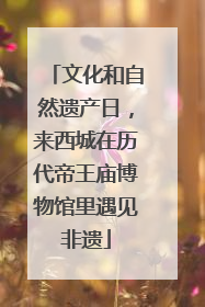 文化和自然遗产日，来西城在历代帝王庙博物馆里遇见非遗