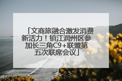 文商旅融合激发消费新活力！镇江润州区参加长三角C9+联盟第五次联席会议