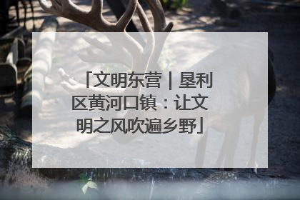 文明东营｜垦利区黄河口镇：让文明之风吹遍乡野