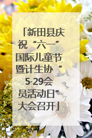 新田县庆祝“六一”国际儿童节暨计生协“5·29会员活动日”大会召开
