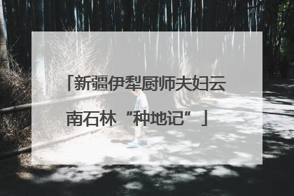 新疆伊犁厨师夫妇云南石林“种地记”