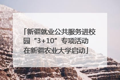 新疆就业公共服务进校园“3+10”专项活动在新疆农业大学启动