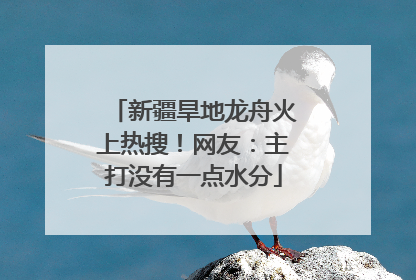 新疆旱地龙舟火上热搜！网友：主打没有一点水分