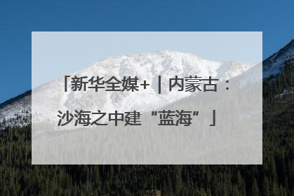 新华全媒+｜内蒙古：沙海之中建“蓝海”