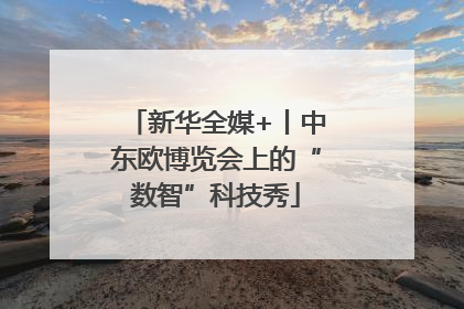 新华全媒+丨中东欧博览会上的“数智”科技秀