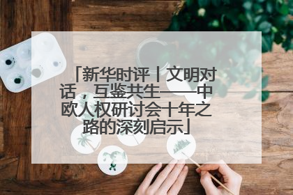 新华时评丨文明对话，互鉴共生——中欧人权研讨会十年之路的深刻启示