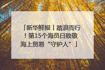 新华鲜报丨踏浪而行！第15个海员日致敬海上贸易“守护人”