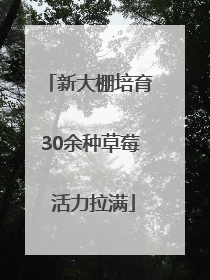 新大棚培育30余种草莓 活力拉满