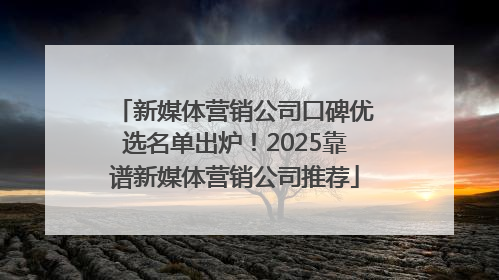 新媒体营销公司口碑优选名单出炉！2025靠谱新媒体营销公司推荐