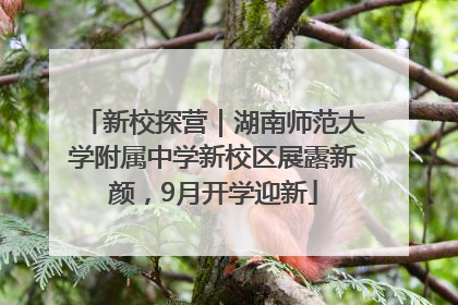 新校探营｜湖南师范大学附属中学新校区展露新颜，9月开学迎新