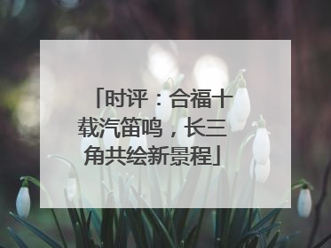 时评：合福十载汽笛鸣，长三角共绘新景程