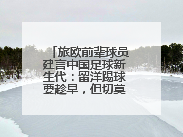 旅欧前辈球员建言中国足球新生代：留洋踢球要趁早，但切莫想着一步登天