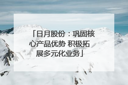 日月股份：巩固核心产品优势 积极拓展多元化业务