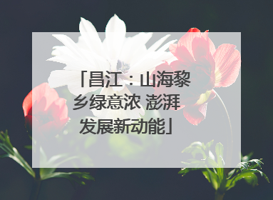 昌江：山海黎乡绿意浓 澎湃发展新动能