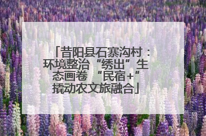 昔阳县石寨沟村：环境整治“绣出”生态画卷 “民宿+”撬动农文旅融合