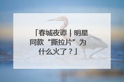 春城夜谭｜明星同款“撕拉片”为什么火了？