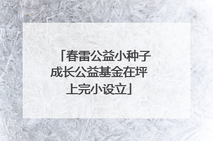 春雷公益小种子成长公益基金在坪上完小设立