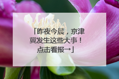 昨夜今晨，京津冀发生这些大事！点击看报→