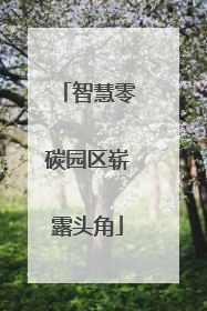 智慧零碳园区崭露头角