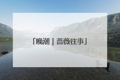 晚潮｜蔷薇往事