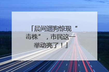 晨间遛狗惊现“毒株”，市民这一举动亮了！