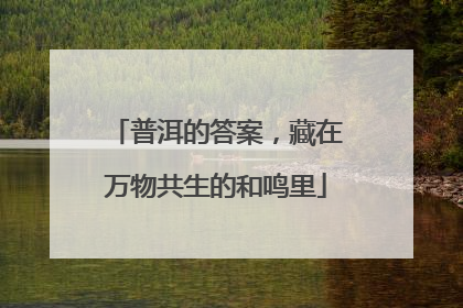 普洱的答案，藏在万物共生的和鸣里