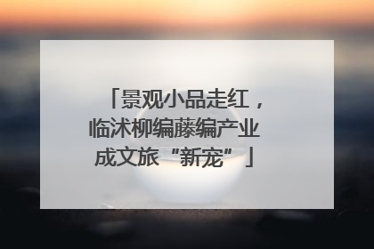 景观小品走红，临沭柳编藤编产业成文旅“新宠”