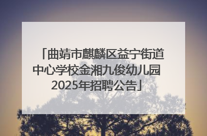 曲靖市麒麟区益宁街道中心学校金湘九俊幼儿园2025年招聘公告