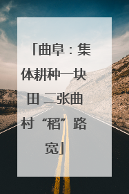 曲阜：集体耕种一块田 二张曲村“稻”路宽