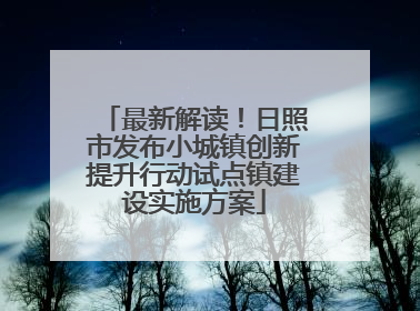 最新解读！日照市发布小城镇创新提升行动试点镇建设实施方案