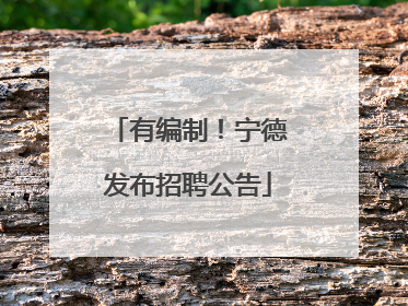 有编制！宁德发布招聘公告
