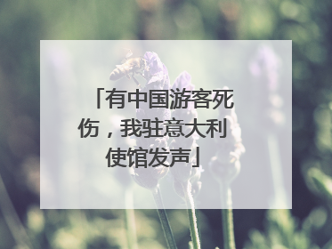 有中国游客死伤，我驻意大利使馆发声