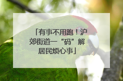 有事不用跑！沪郊街道一“码”解居民烦心事