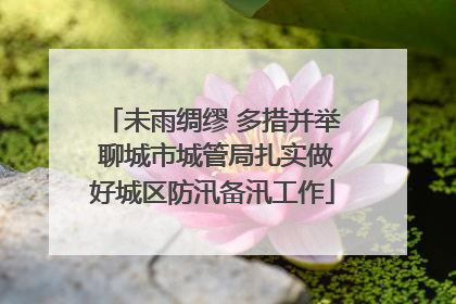 未雨绸缪 多措并举 聊城市城管局扎实做好城区防汛备汛工作
