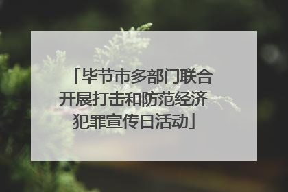 毕节市多部门联合开展打击和防范经济犯罪宣传日活动