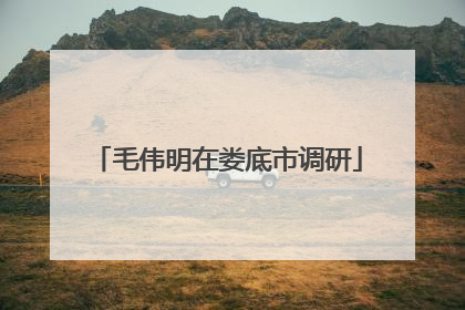 毛伟明在娄底市调研